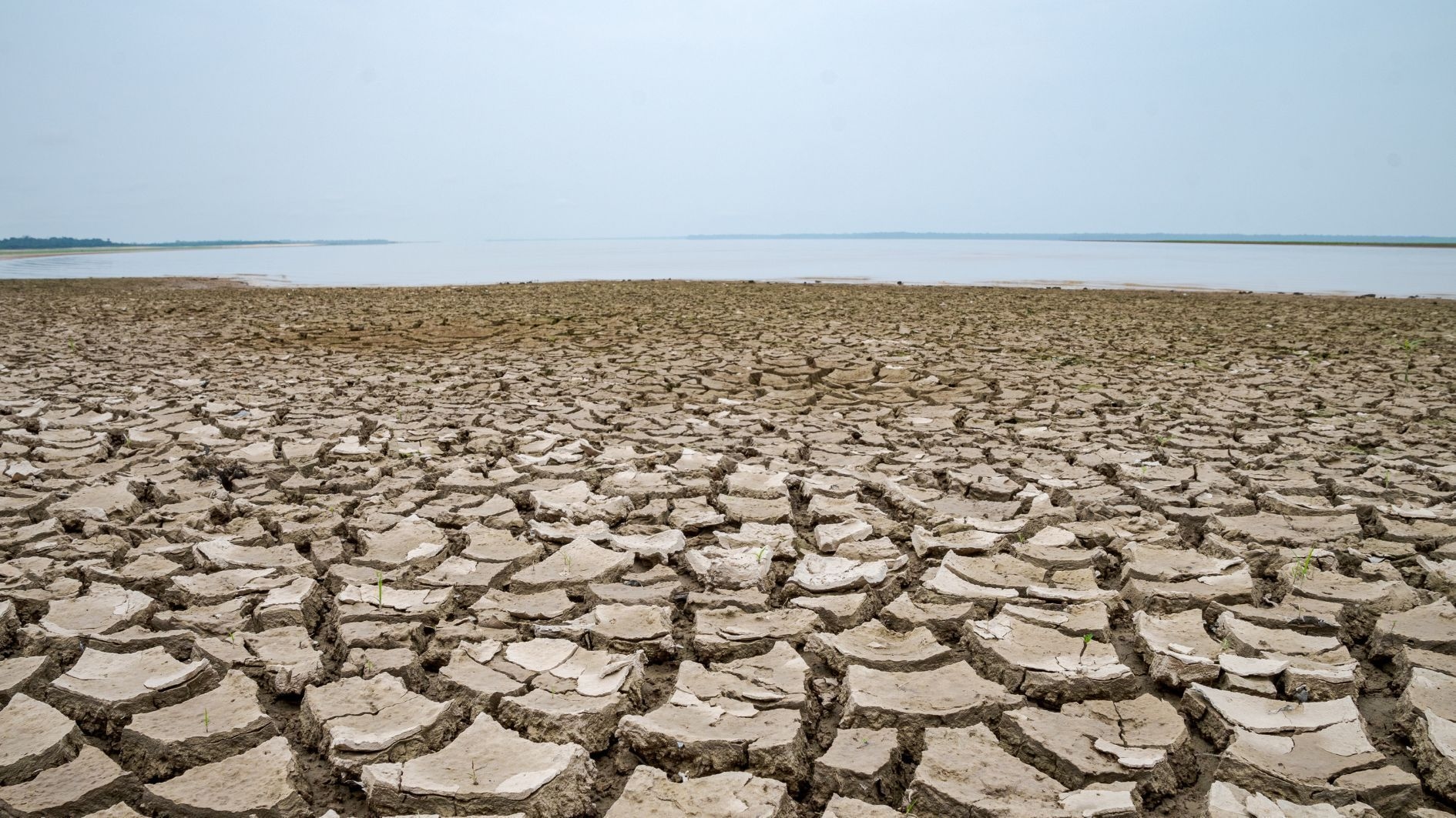 Brazilië zal in alle regio's te maken krijgen met klimaatverandering, aldus een studie