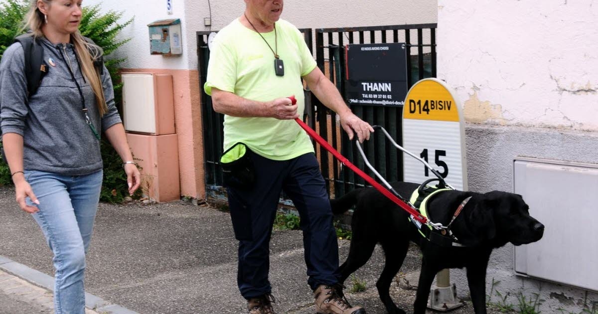Cernay. Cannelle, Lima, Urus: tre cani per guidare Gilbert