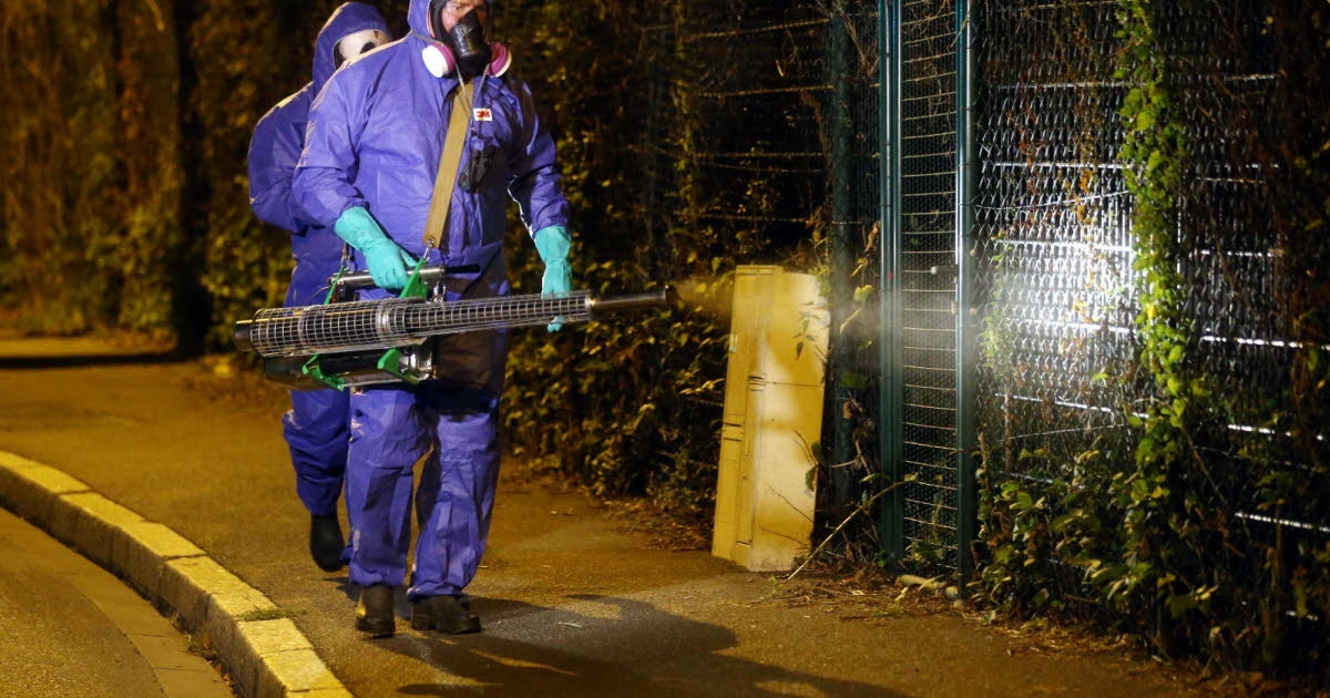 Obernai. Dengue-Fieber festgestellt, Mückenbekämpfung geplant