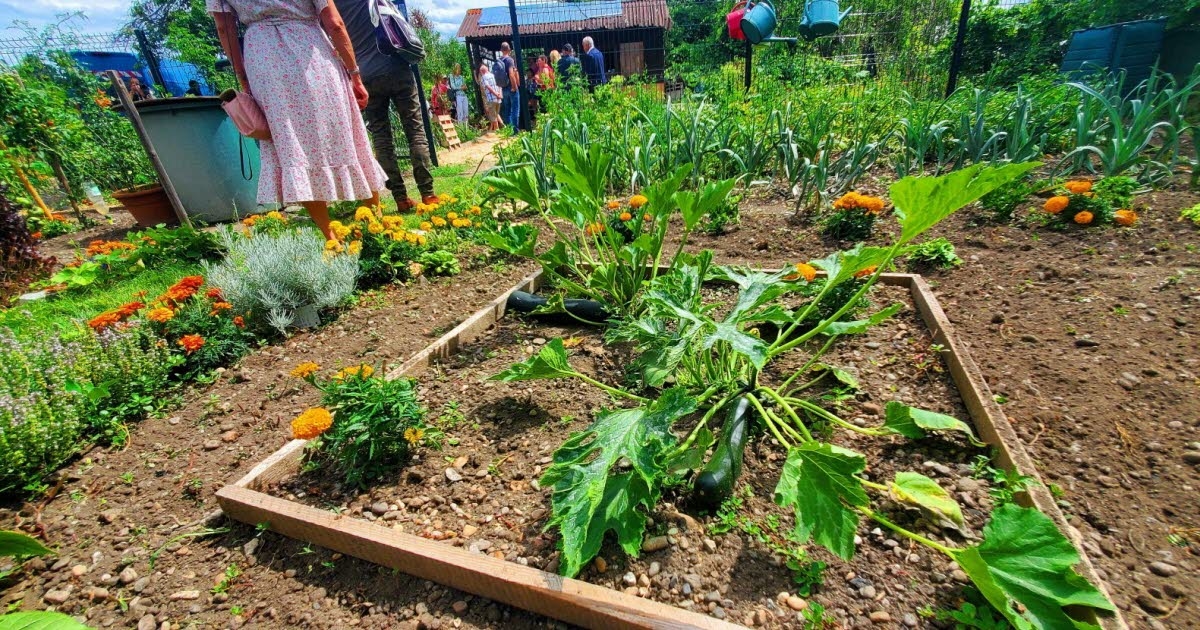 Colmar: Ein Gemeinschaftsgarten für Frauen in Krebsremission