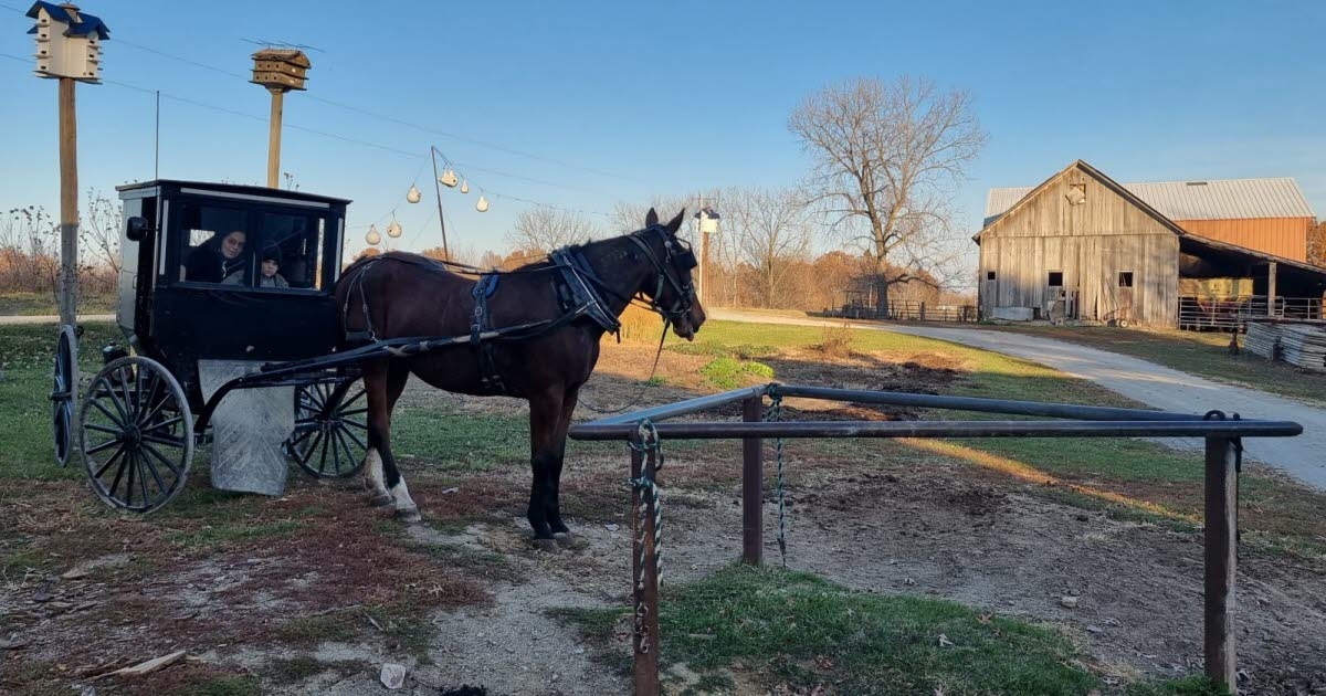 Sıra dışı. Mulhouse'lu bir osteopat Amerika Birleşik Devletleri'ne seyahat eder ve Amish bölgesinde çalışmaya başlar.