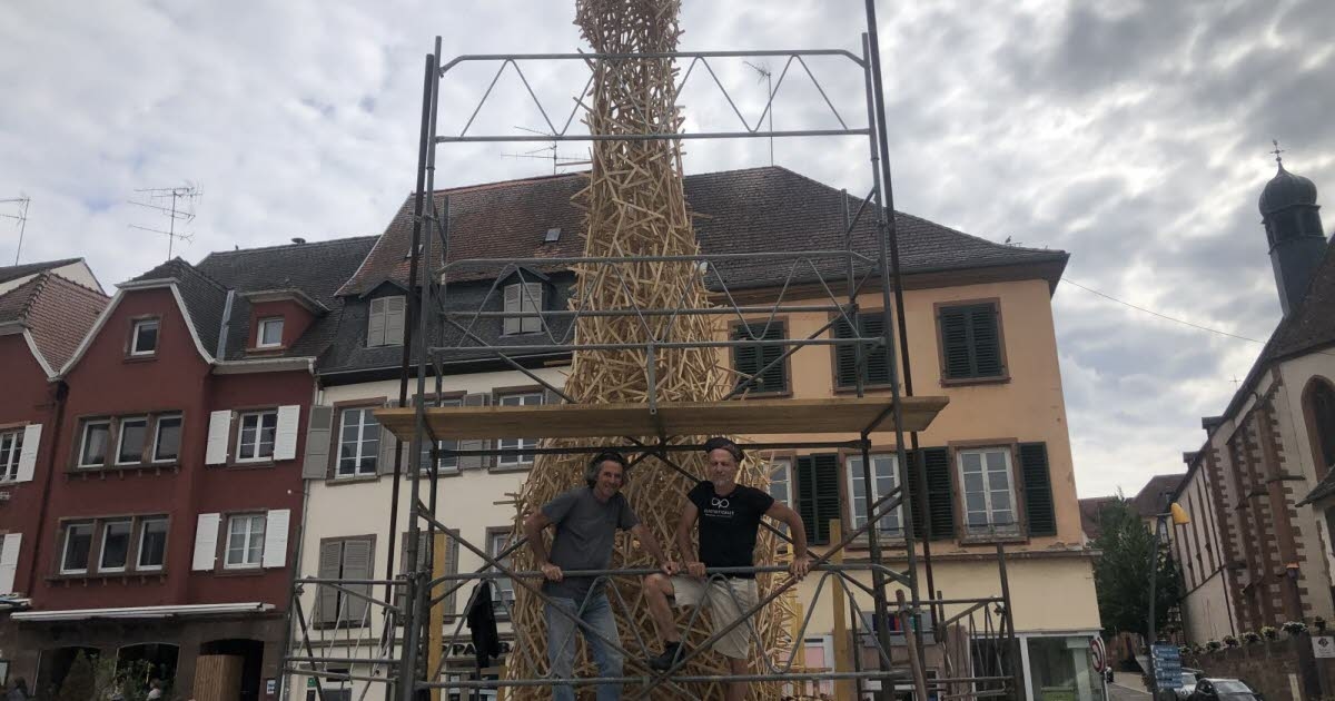 Saverne. A seven-meter-tall alpaca in the city center