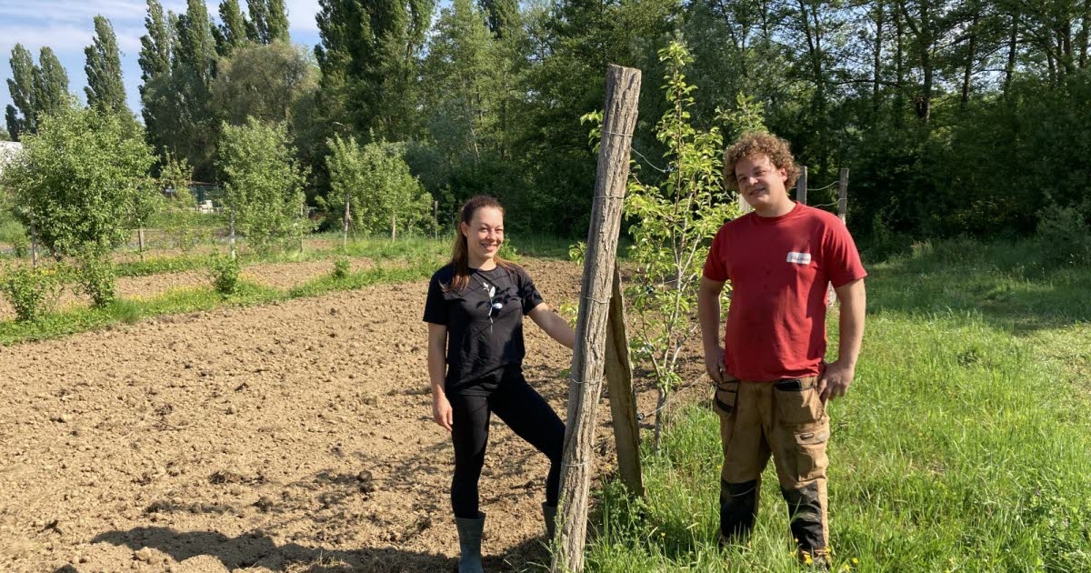 Haringachtig. Broer en zus en tuinders, ze steunen een gezamenlijk tuinbouwproject in de rue des Prés
