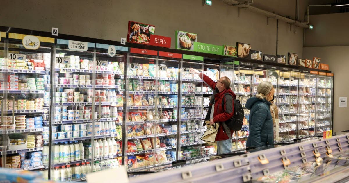 Camemberts, Ziegenkäse, Bries: Mehr als 40 Käsesorten wegen Listerien-Verdachts zurückgerufen