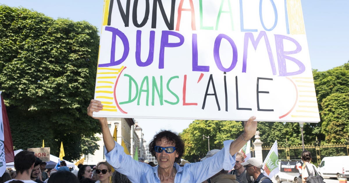 Agriculture. Loi Duplomb : la pétition contre le texte redonne de l'espoir aux défenseurs de l’environnement