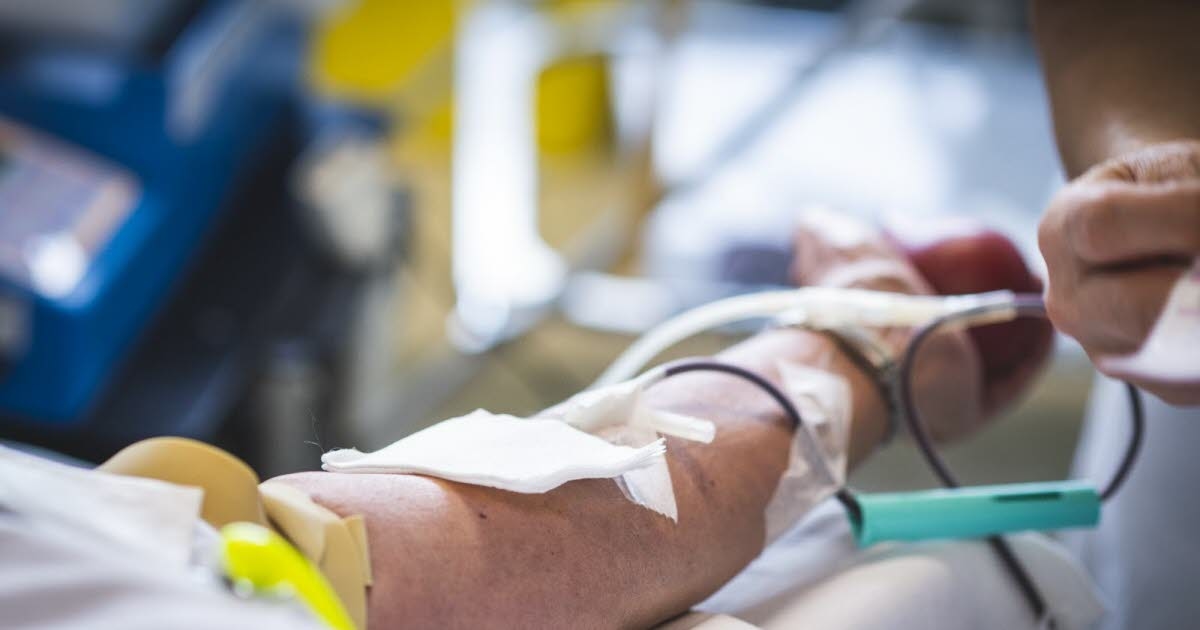 Salute. Donazione del sangue: presto rimossi i dati che menzionano relazioni omosessuali