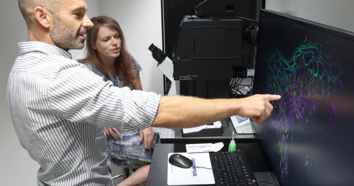 Sciences. Skin cancer: a major discovery in Strasbourg promises better diagnosis