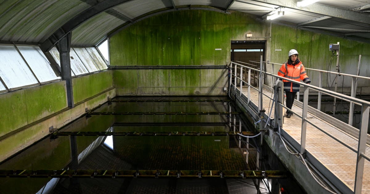 Medio ambiente. PFAS en el agua: gestión gota a gota, sin una solución duradera.