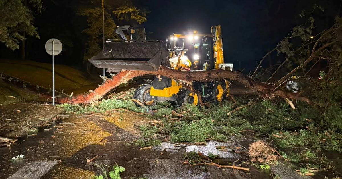 Hava durumu. Devrilen ağaçlar, 100 km/saati aşan rüzgar esintileri... fırtına Saône-et-Loire'da hasara yol açtı