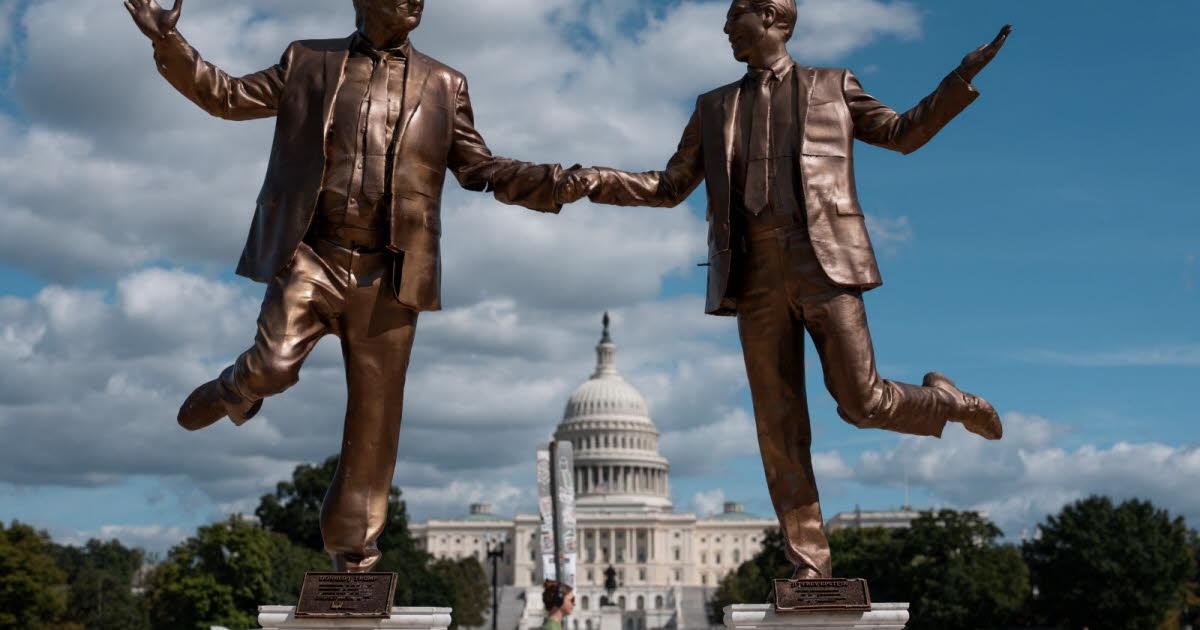 Verenigde Staten. Trump en Epstein hand in hand: wat doet dit standbeeld voor het Capitool in Washington?