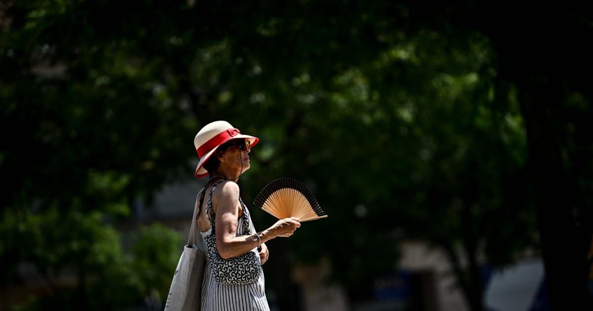 El tiempo. Ola de calor: Córcega continúa en alerta naranja este domingo y lunes.