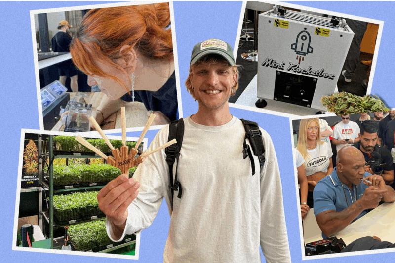 40,000 robot joints and a smoking Mike Tyson – That's how wild Europe's largest hemp fair was Mary Jane