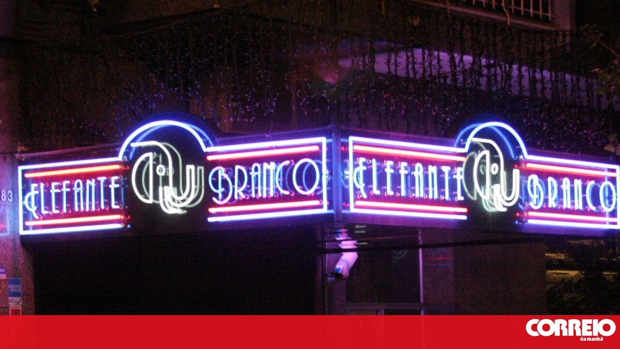 <![CDATA[ Elefante Branco ligado a redes de prostituição do Brasil  ]]>