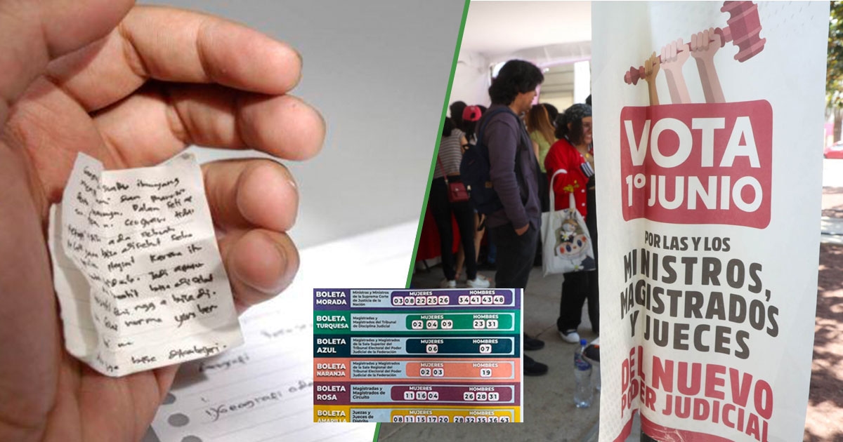 Pessoas que colaram na escola condenam o acordeão por votar no domingo.