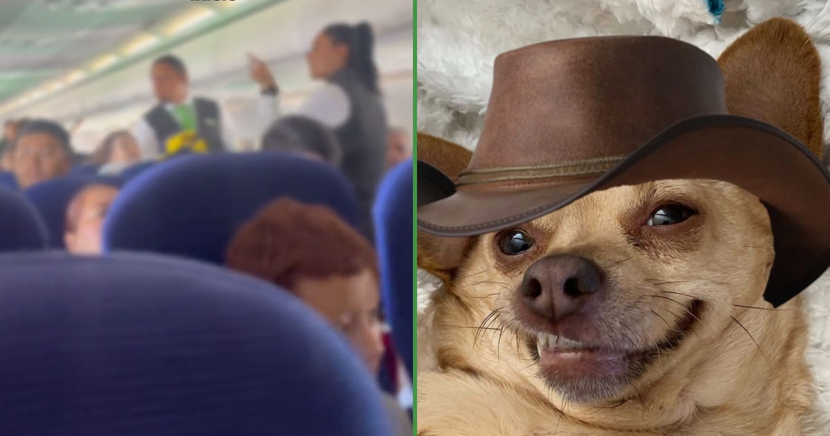 Tenían que ser regios: sujeto se pelea con sobrecargo en avión porque no lo dejaron pararse en el pasillo