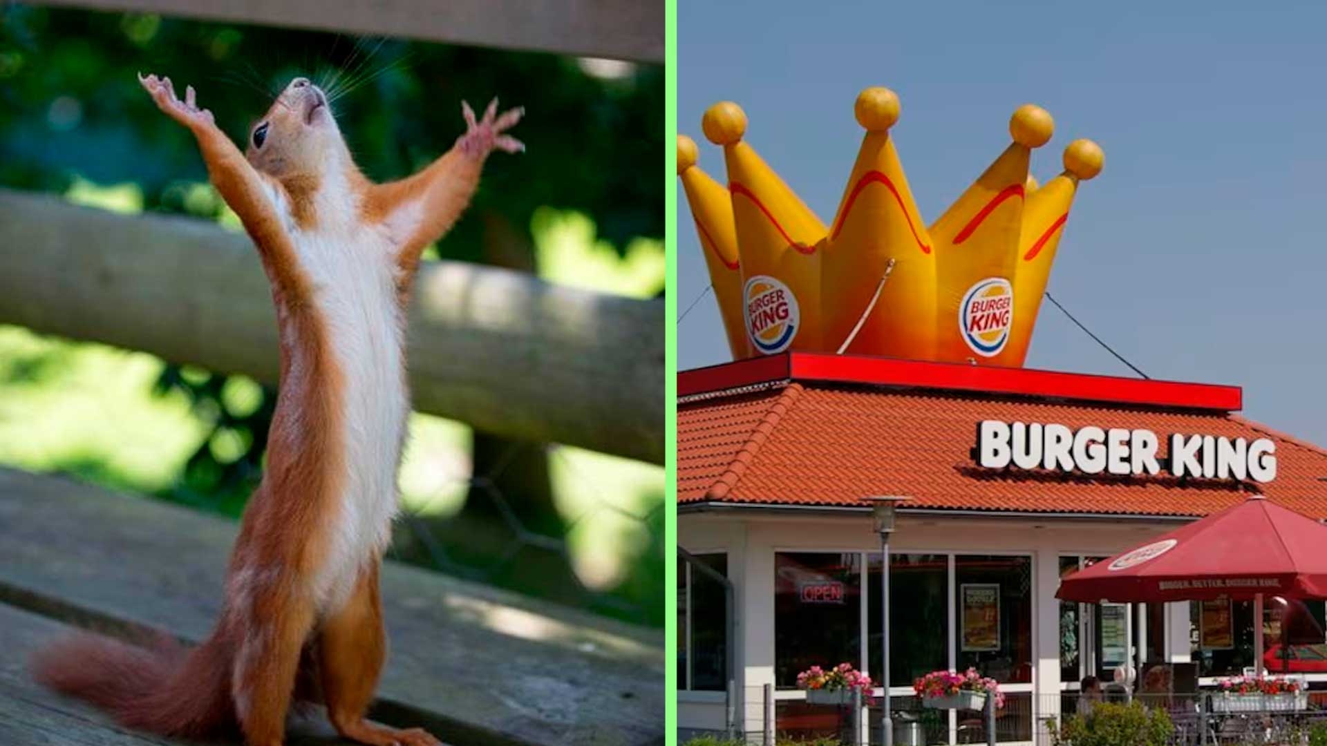 Burger King has so many promos that it might as well give away 45,000 Whoopers this May 26th.