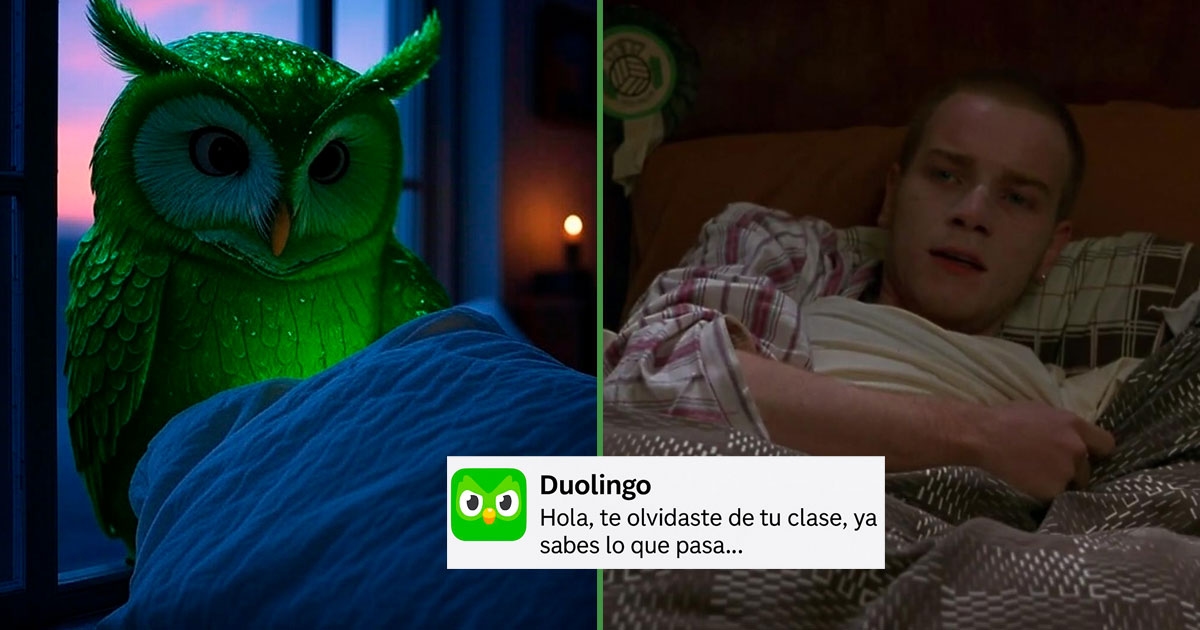 “Duo me visita en sueños”: Usuarios reportan apariciones nocturnas del búho verde tras tres días sin practicar