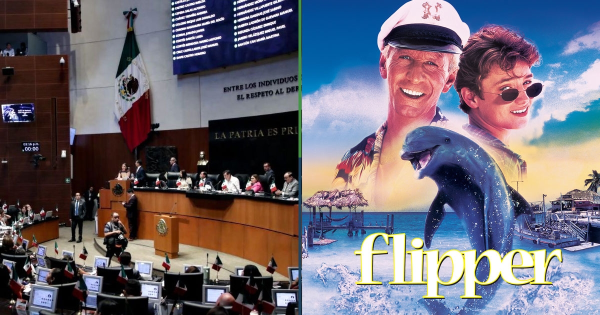 Le Sénat ordonne la saisie de tous les films VHS et DVD de Flipper