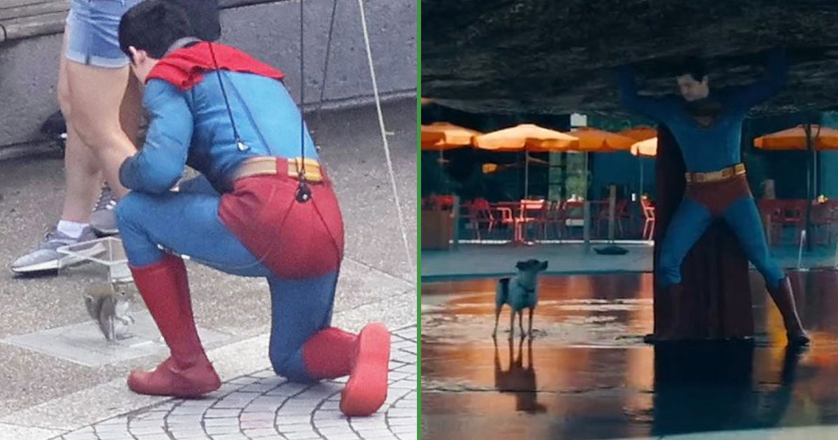 Gli zoologi premiano il nuovo Superman per aver salvato uno scoiattolo