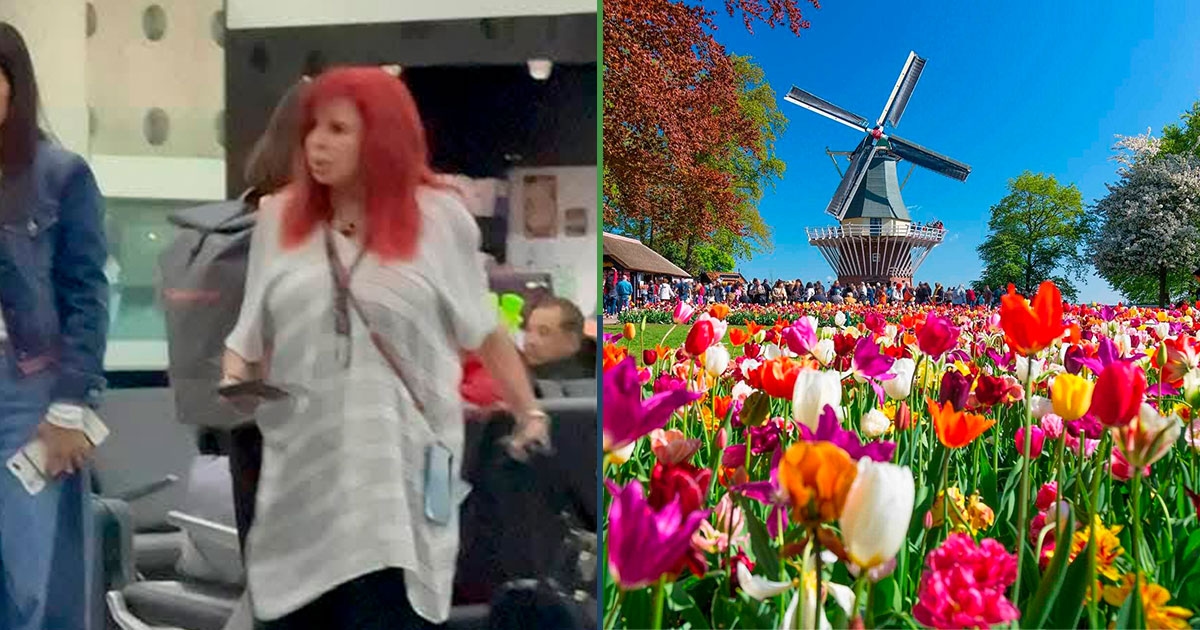 Layda Sansores wyjaśnia, że pojechała do Amsterdamu, aby przywieźć tulipany do Campeche.