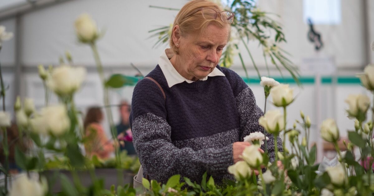 As flores 'repetem o florescimento' nos jardins se uma 'tarefa simples' for concluída em junho