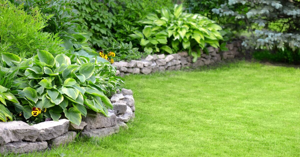Lawns will 'stay lush' and be 'drought resilient' in June if 1 task is done every week