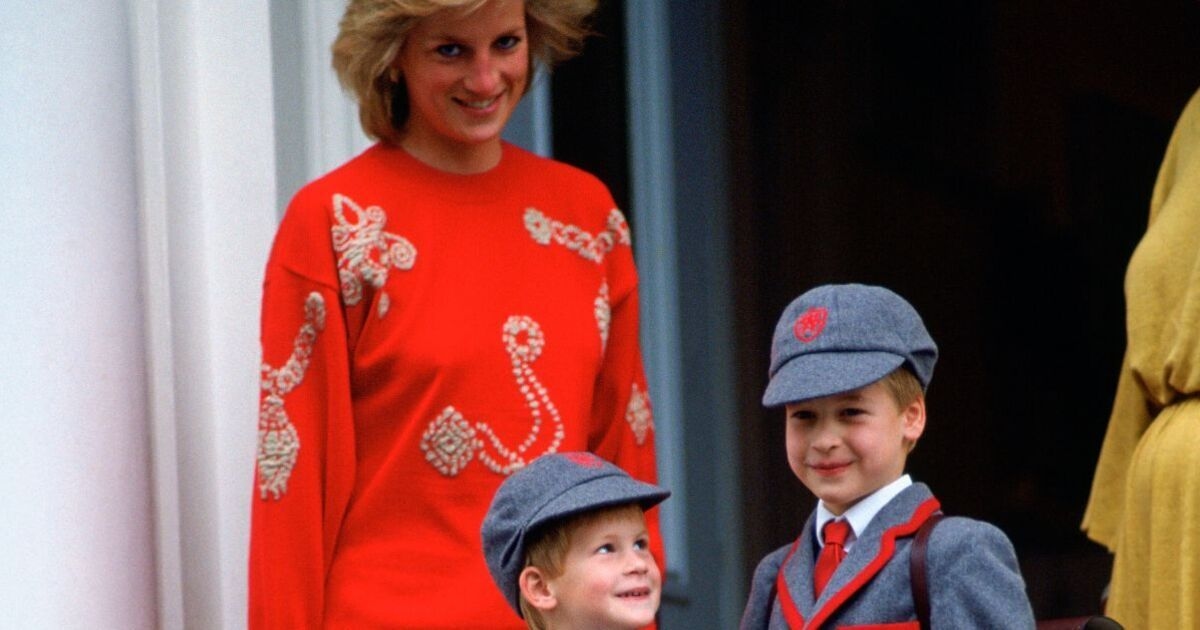 O 'verdadeiro motivo' pelo qual o príncipe Harry e o príncipe William iam ao McDonald's quando crianças