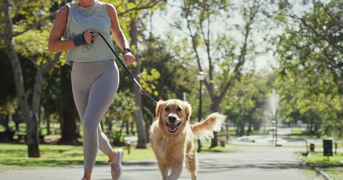 Un experto en perros comparte la 'regla de los siete segundos' para comprobar si es seguro pasear a tu perro en días calurosos