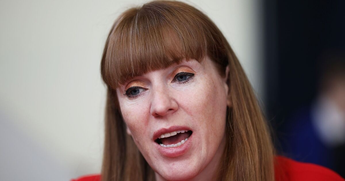Le nuove leggi sul lavoro di Angela Rayner "devasteranno" le aziende e l'economia britanniche