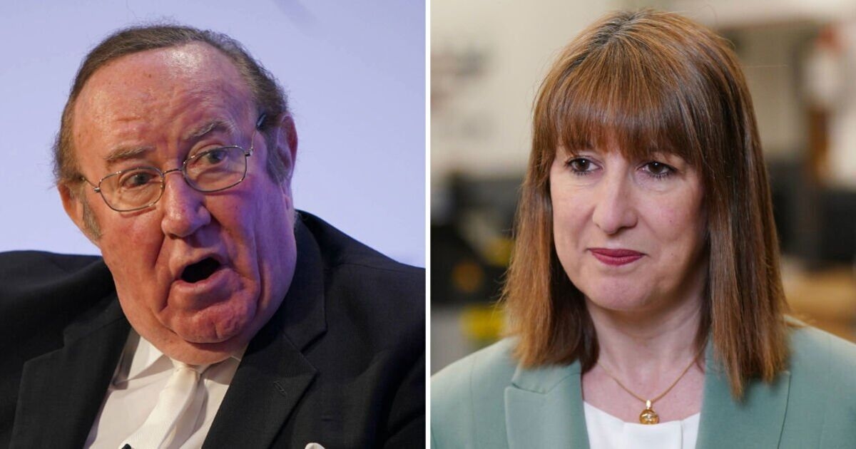 Andrew Neil savages Rachel Reeves for 'spouting nonsense' in furious rant