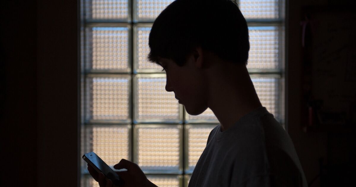 Briten sagen, dass Regeln, die Kinder von Websites für Erwachsene fernhalten sollen, nicht funktionieren