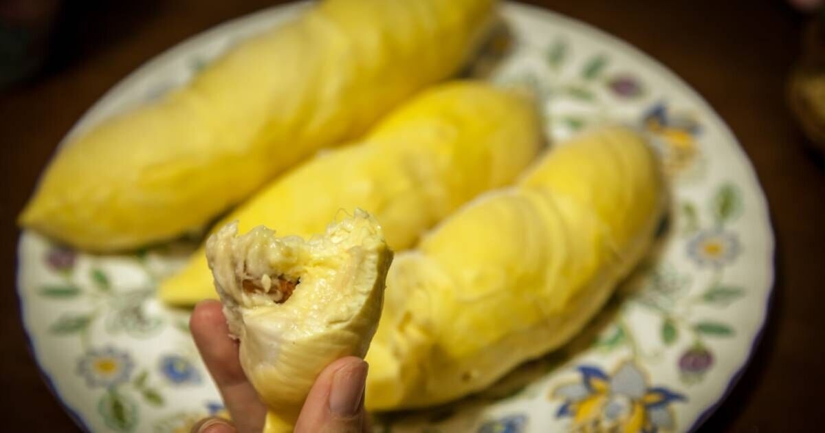 Fui à China e experimentei 3 das comidas mais estranhas - incluindo a fruta mais fedorenta do mundo