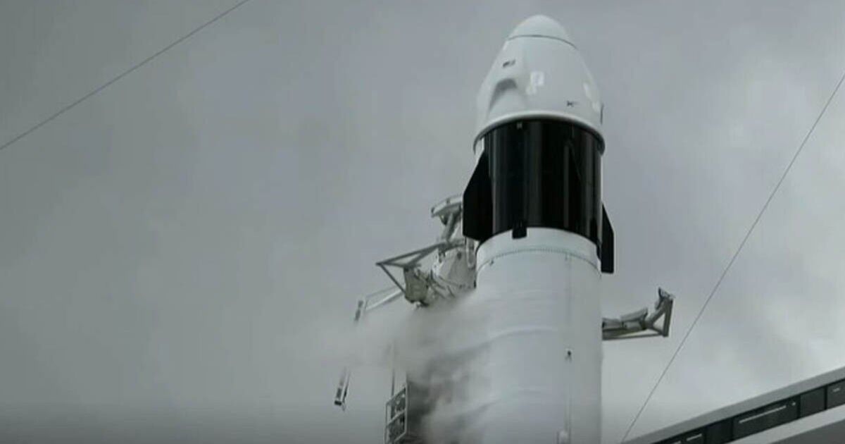 Il momento in cui il lancio della navicella NASA SpaceX Crew-11 viene interrotto pochi secondi prima del lancio