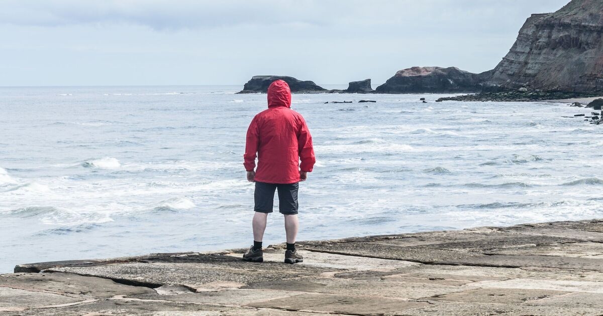 Man has shock of life at beach when 'huge rock' turns out to be something else