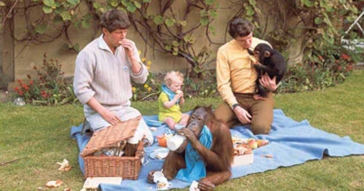 La vergüenza del bebé de Blue Peter tras la "adopción" en un programa de la BBC y el horror del robo
