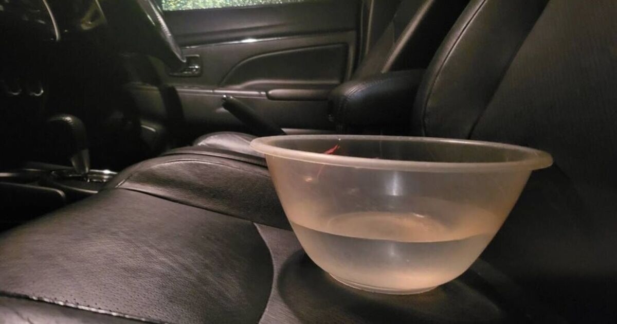 Motorists urged to drive with a bowl of water in car
