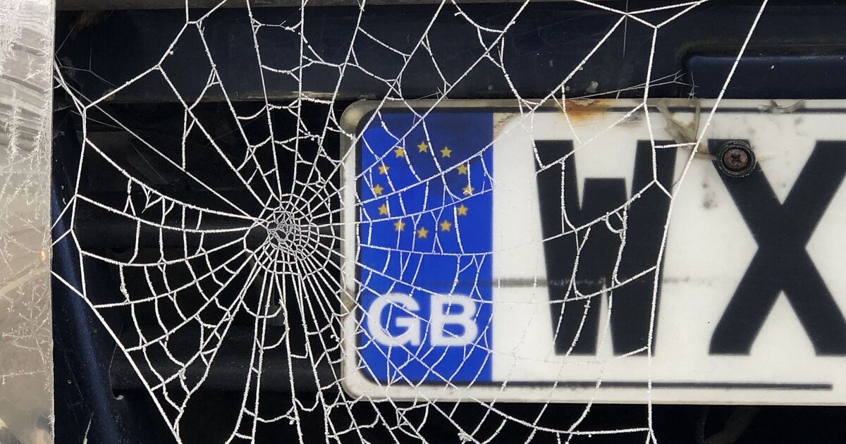 DVLA  number plate rule millions of drivers need to know