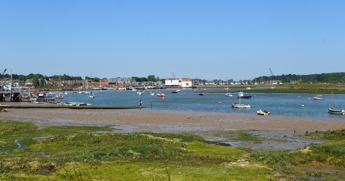 The ‘happiest place’ in Britain is bustling riverside town with woodland on doorstep