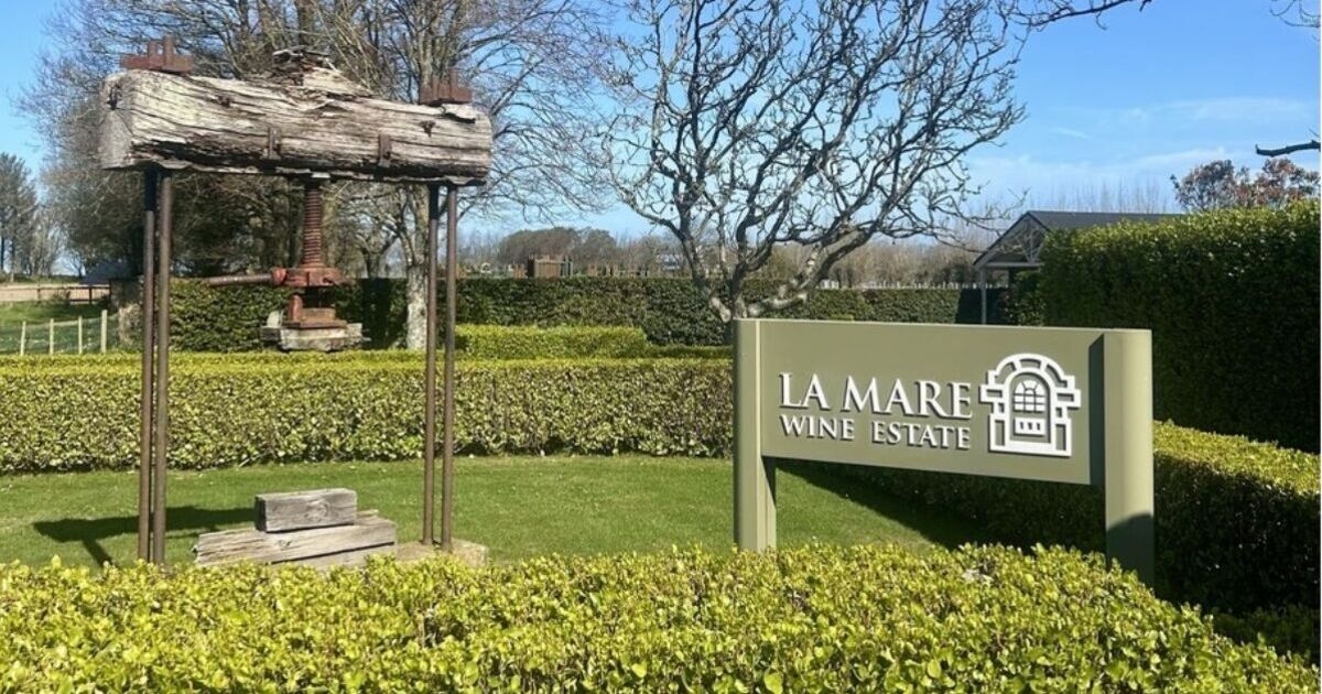I visited a hidden gem with the best wine a 30-minute flight from London — fly for £20