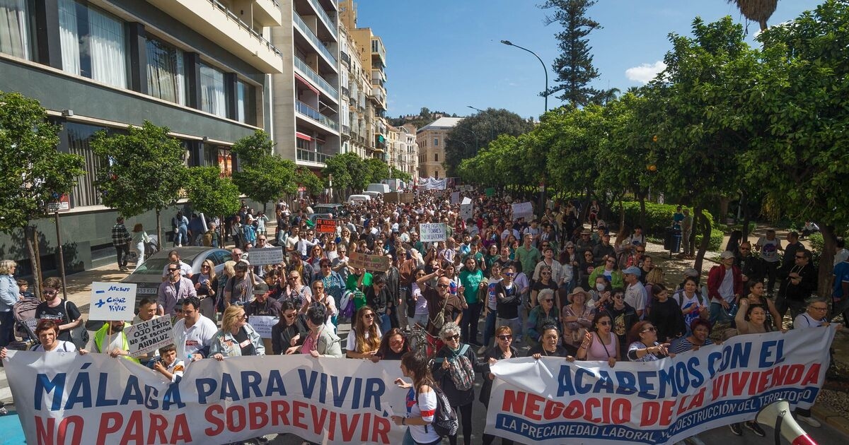 "¡Jamás volveremos atrás!" Los británicos protestan contra España ante el caos que se avecina en Lanzarote y Mallorca.