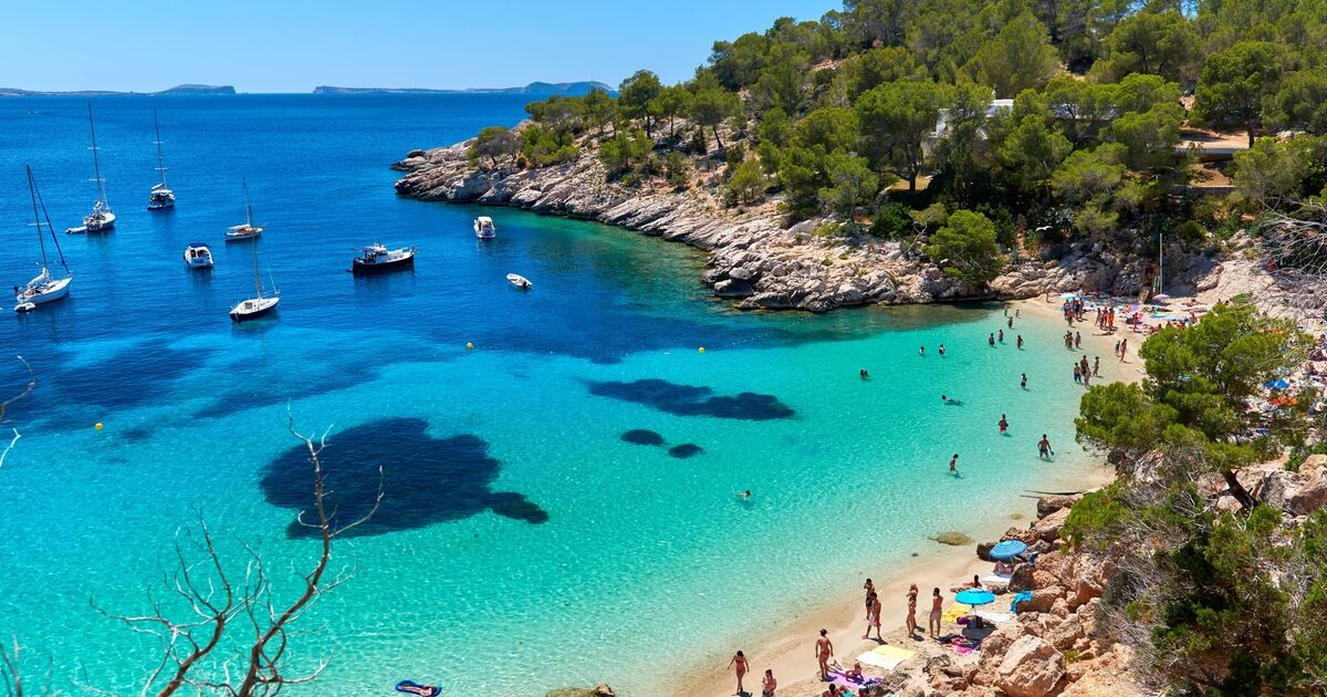 Chefe da Jet2 emite alerta sobre preços de férias na Espanha, enquanto protestos contra o turismo ameaçam impostos mais altos