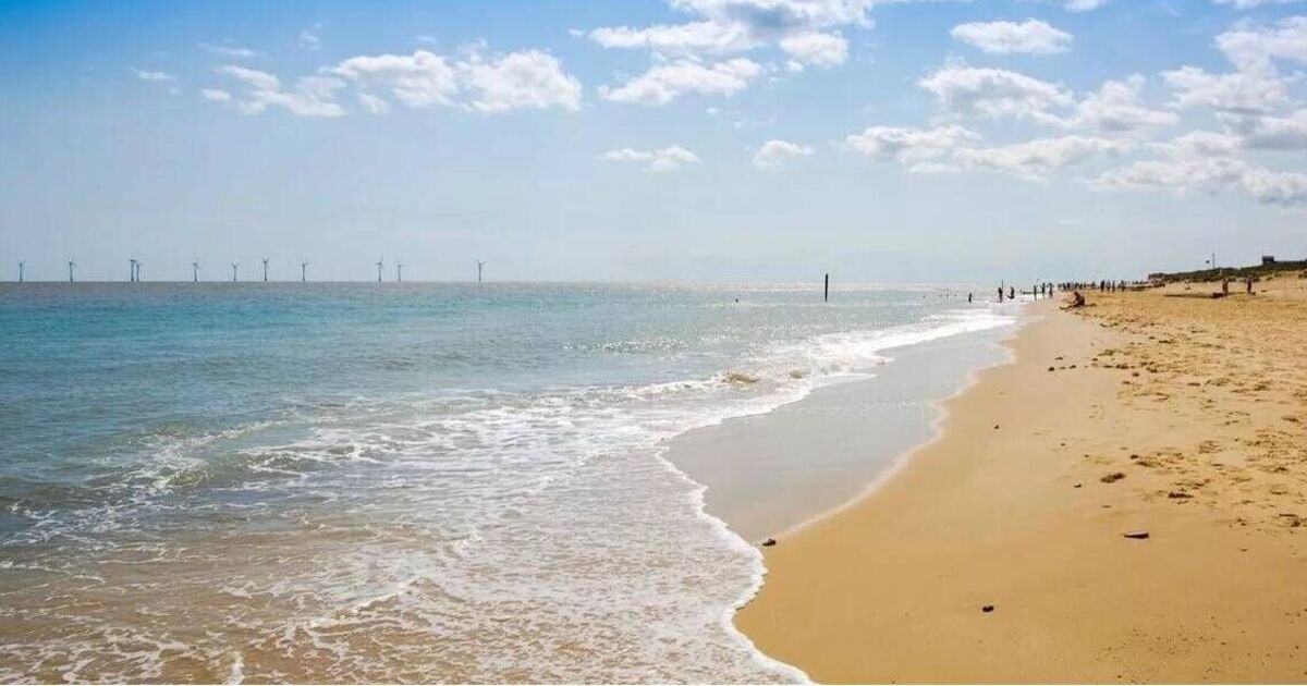 Prachtig Brits strand dat 'ons eigen kleine Californië' is, perfect voor een zomers dagje uit