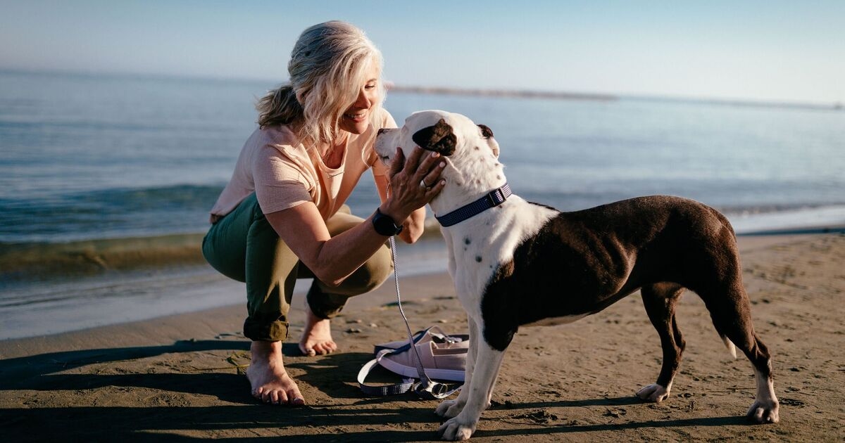 The top 20 dog-friendly beaches in Europe ranked - 8 are in the UK