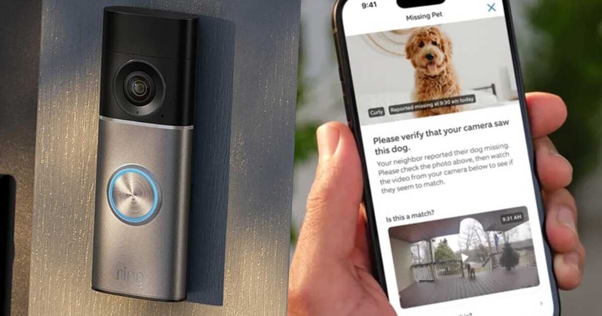 Il nuovo campanello Ring potrebbe aiutarti a ritrovare i tuoi animali domestici smarriti