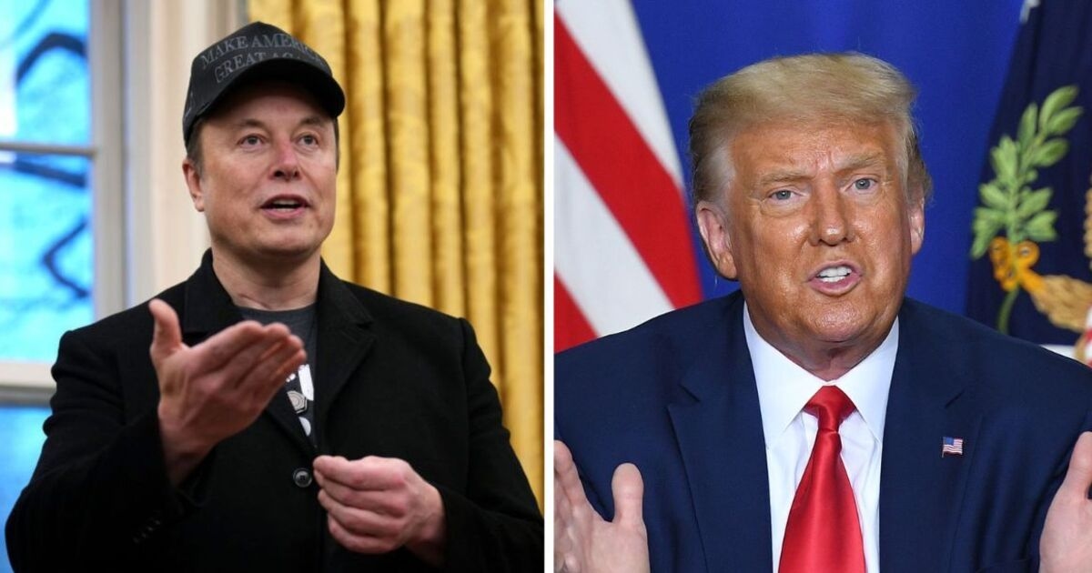 New book details explosive Trump-Musk tensions: 'What the f*** is wrong with this guy?'