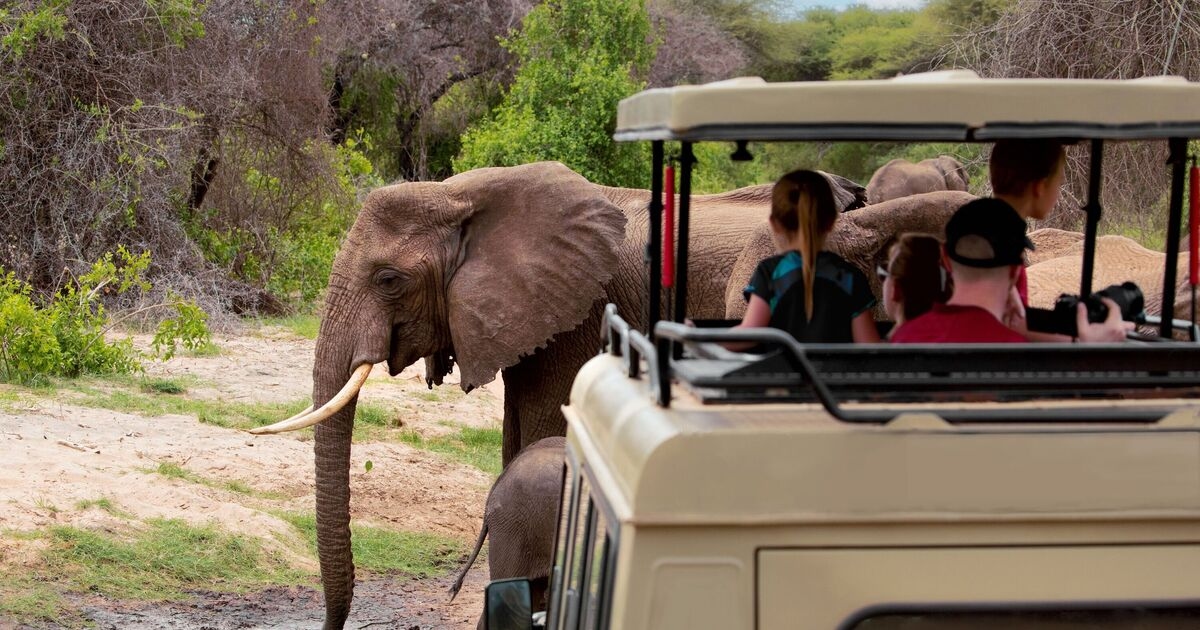 El «mejor» safari de África con animales «raros» y paisajes «impresionantes»