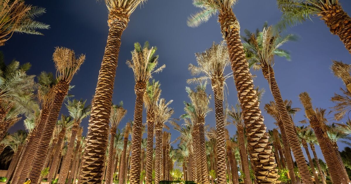 All'interno dell'enorme mega-progetto da 46,7 miliardi di sterline per ospitare 50 milioni di turisti destinati a trasformare l'Arabia Saudita