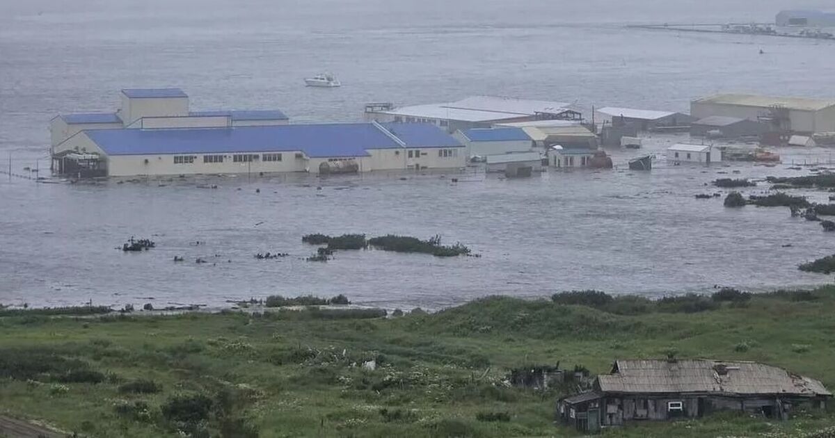 Tsunami alle Hawaii LIVE: Giappone, Russia e tutta la costa occidentale degli Stati Uniti a rischio di maremoto