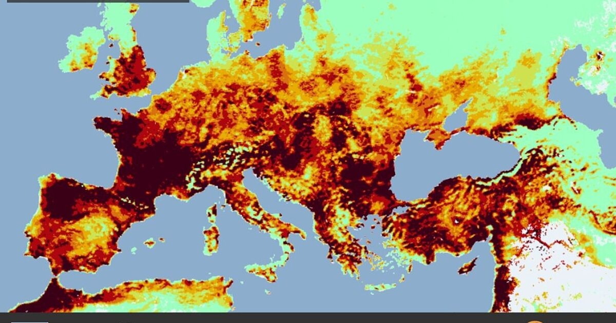 Mapped: The wildfire danger hotspots YOU can check before flying to Europe this summer