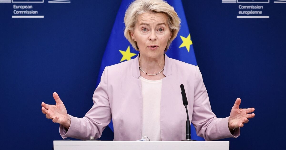 Ursula von der Leyen breaks silence on rumours she wants to become president of Germany